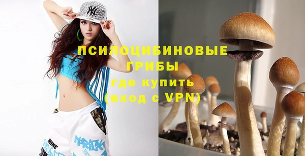 стафф Медногорск