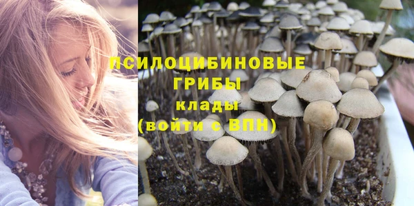 дмт Абдулино