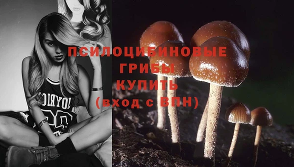 дмт Абдулино