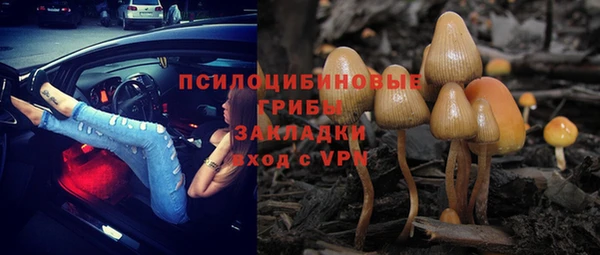 дмт Абдулино