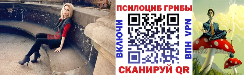 Псилоцибиновые грибы Psilocybe  закладка  Туран 