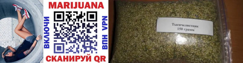 Каннабис Amnesia  Туран 